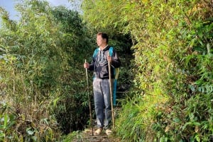 Sapa: 1-dages Fansipan Summit Trek med lokal guide + urtebad