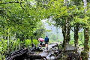 Sapa: 1-dages Fansipan Summit Trek med lokal guide + urtebad
