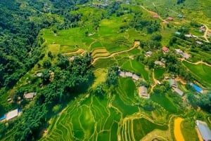 Sapa: 1-dages Fansipan Summit Trek med lokal guide + urtebad