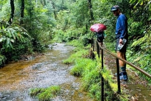 Sapa: 1-dages Fansipan Summit Trek med lokal guide + urtebad