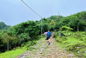 Sapa: 1-dages Fansipan Summit Trek med lokal guide + urtebad