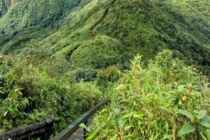 Sapa: 1-dages Fansipan Summit Trek med lokal guide + urtebad