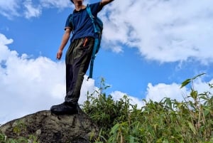 Sapa: 1-dages Fansipan Summit Trek med lokal guide + urtebad