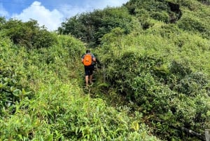 Sapa: 1-dages Fansipan Summit Trek med lokal guide + urtebad