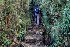 Sapa: 1-dages Fansipan Summit Trek med lokal guide + urtebad