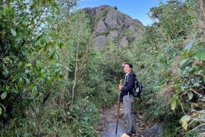Sapa: 1-dages Fansipan Summit Trek med lokal guide + urtebad