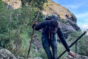 Sapa: 1-dages Fansipan Summit Trek med lokal guide + urtebad