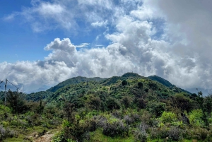 Sapa: 1-dages Fansipan Summit Trek med lokal guide + urtebad