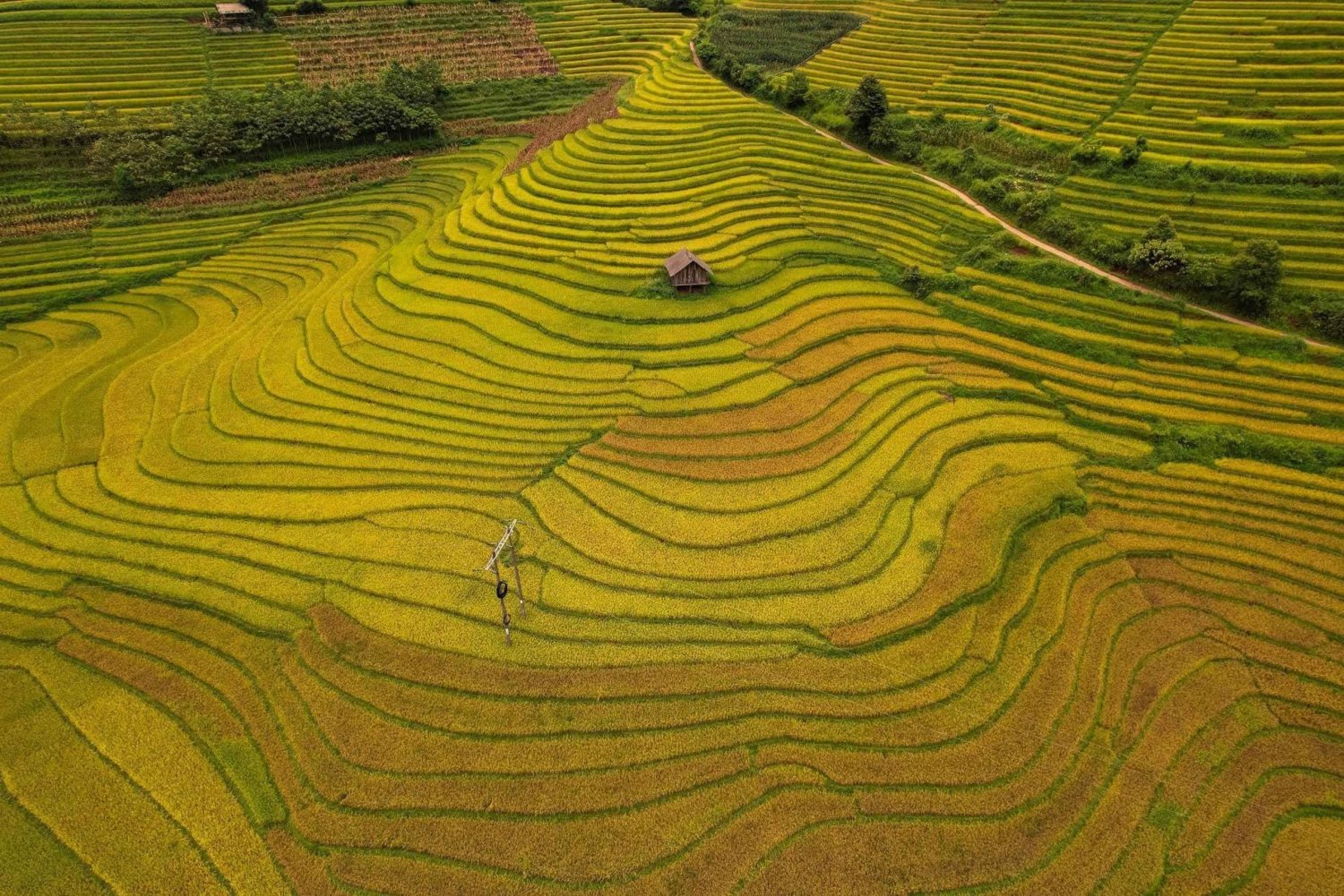 SAPA 1 DÍA EN MOTO: Visita los pueblos más remotos de SaPa