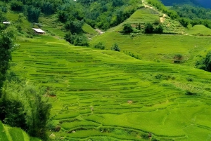 SAPA 1 DAG - Bergzichten en dorpen trekken - Lange trektocht