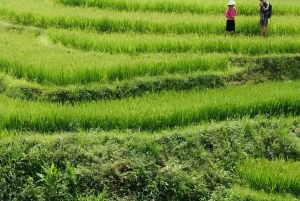 SAPA 1 DAG - Bergzichten en dorpen trekken - Lange trektocht