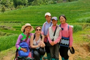 Sapa: trekking di 1 giorno tra villaggi Hmong e terrazze di riso