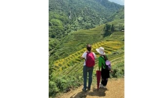 Sapa: trekking di 1 giorno tra villaggi Hmong e terrazze di riso