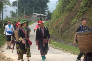 Sapa: Guided Half-Day Trek with Lunch and Drop-Off