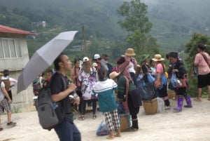 Sapa: Guided Half-Day Trek with Lunch and Drop-Off