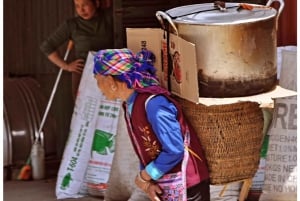 Sapa: 1-dags landsbytrek og traditionel madlavningsoplevelse