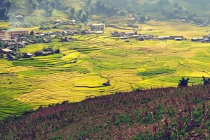 Sapa: 1-tägige Dorfwanderung & traditionelles Kocherlebnis