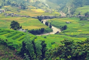 Sapa: 1-tägige Dorfwanderung & traditionelles Kocherlebnis