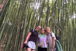 SAPA : TREK ET CULTURE D'UNE JOURNÉE, DÉJEUNER, GUIDE HMONG LINH