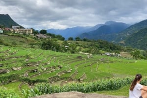 SAPA : TREK ET CULTURE D'UNE JOURNÉE, DÉJEUNER, GUIDE HMONG LINH