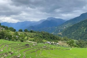 SAPA : TREK ET CULTURE D'UNE JOURNÉE, DÉJEUNER, GUIDE HMONG LINH