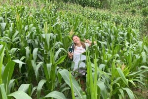 SAPA : TREK ET CULTURE D'UNE JOURNÉE, DÉJEUNER, GUIDE HMONG LINH