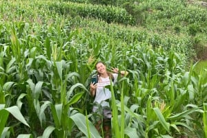 SAPA : TREK ET CULTURE D'UNE JOURNÉE, DÉJEUNER, GUIDE HMONG LINH