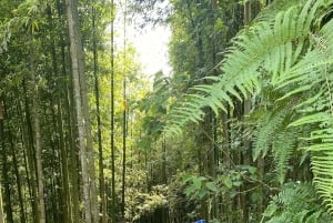 SAPA : TREK ET CULTURE D'UNE JOURNÉE, DÉJEUNER, GUIDE HMONG LINH