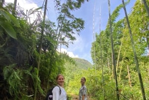 SAPA : TREK ET CULTURE D'UNE JOURNÉE, DÉJEUNER, GUIDE HMONG LINH