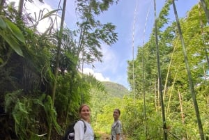 SAPA : TREK ET CULTURE D'UNE JOURNÉE, DÉJEUNER, GUIDE HMONG LINH