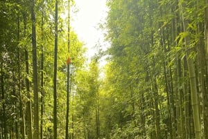 SAPA : TREK ET CULTURE D'UNE JOURNÉE, DÉJEUNER, GUIDE HMONG LINH