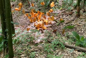 SAPA : TREK ET CULTURE D'UNE JOURNÉE, DÉJEUNER, GUIDE HMONG LINH