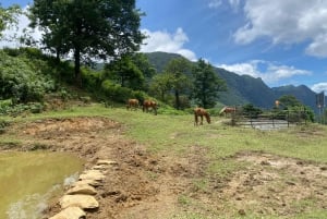 SAPA : TREK ET CULTURE D'UNE JOURNÉE, DÉJEUNER, GUIDE HMONG LINH