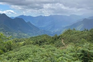SAPA : TREK ET CULTURE D'UNE JOURNÉE, DÉJEUNER, GUIDE HMONG LINH
