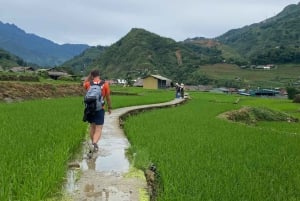 SAPA : TREK ET CULTURE D'UNE JOURNÉE, DÉJEUNER, GUIDE HMONG LINH