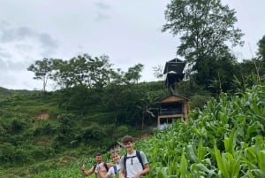 SAPA : TREK ET CULTURE D'UNE JOURNÉE, DÉJEUNER, GUIDE HMONG LINH