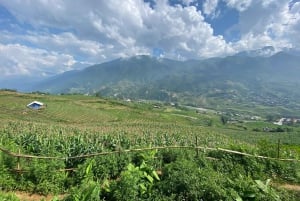 SAPA : TREK ET CULTURE D'UNE JOURNÉE, DÉJEUNER, GUIDE HMONG LINH