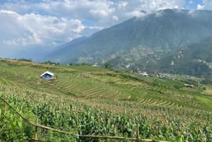 SAPA : TREK ET CULTURE D'UNE JOURNÉE, DÉJEUNER, GUIDE HMONG LINH