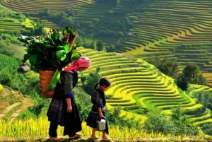 From Hanoi: Sapa 2-Day 1-Night Trip By Bus With Hotel Stay