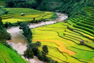 From Hanoi: Sapa 2-Day 1-Night Trip By Bus With Hotel Stay