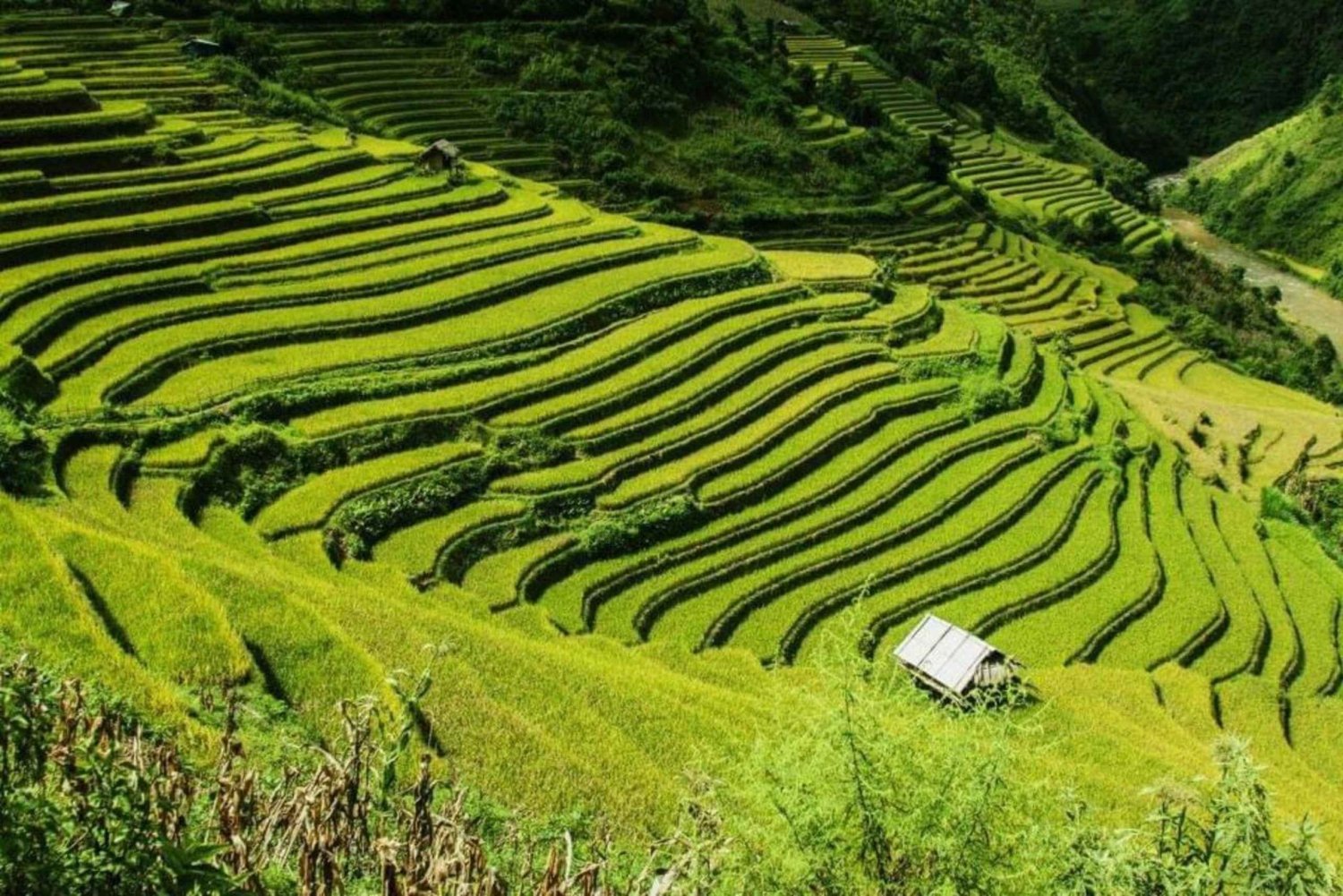Sapa 2-Day Adventure from Hanoi: Trekking Villages &Fansipan