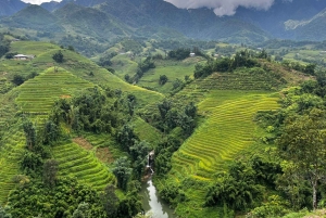 Sapa: 2-Day Guided Trek with Homestay guide English, French