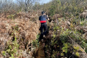 Sapa: Trekking di 2 giorni sulla catena montuosa HoangLienSon con guida locale