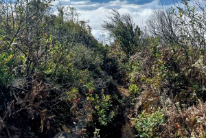 Sapa: Trekking di 2 giorni sulla catena montuosa HoangLienSon con guida locale