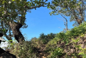Sapa: Trekking di 2 giorni sulla catena montuosa HoangLienSon con guida locale