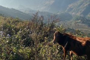 Sapa: Trekking di 2 giorni sulla catena montuosa HoangLienSon con guida locale