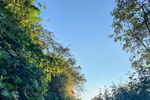 Sapa: Trekking di 2 giorni sulla catena montuosa HoangLienSon con guida locale