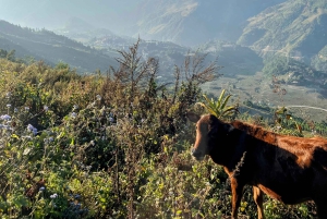 Sapa: Trekking di 2 giorni sulla catena montuosa HoangLienSon con guida locale