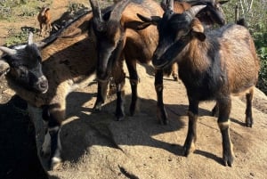 Sapa: Trekking di 2 giorni sulla catena montuosa HoangLienSon con guida locale