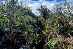 Sapa: 2-dniowa wycieczka z lokalnym przewodnikiem po paśmie górskim HoangLienSon